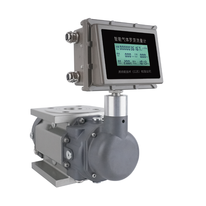 HFR Intelligent Roots Gas Flow Meter